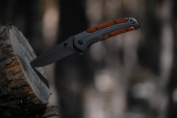 istock Folding knife for survival is stuck into trunk sawn off tree against background pine forest. 1493431651