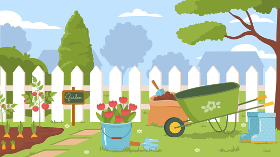 Backyard gardening concept. Plants and flowers in garden. Summer and spring season. Floristry and botany, agriculture. Beds and cart near white fence. Cartoon flat vector illustration