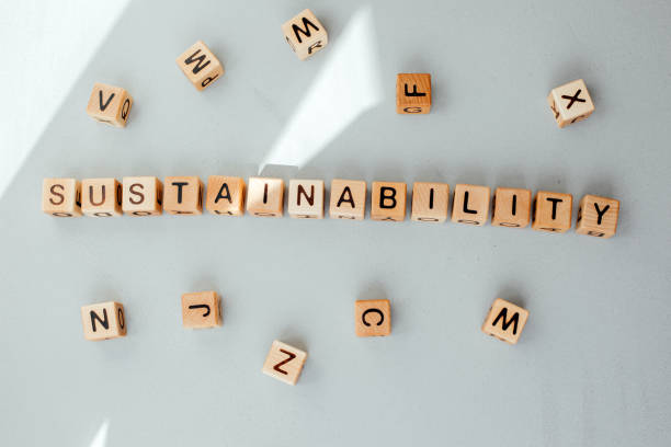 Eco-friendly cubes. The word sustainability is made up of wooden cubes on a gray concrete background. The concept of sustainability. Top view stock photo