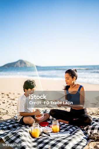 istock Mother and son having a picnic on the beach 1493445740