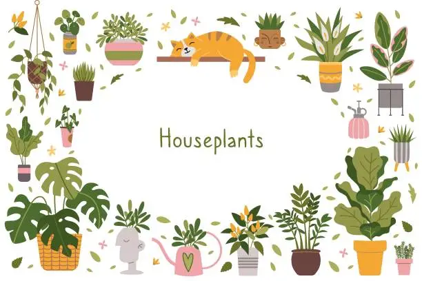 Vector illustration of Frame with trendy potted plants, cartoon style. Indoor houseplants for interior and cute cat. Urban Cozy home gardening hobby set. Modern isolated vector illustration, hand drawn, flat