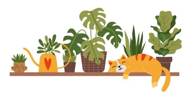 Vector illustration of A cute cat is sleeping on a shelf next to houseplants, cartoon style. Potted plants for interior. Urban Cozy home gardening hobby. Trendy modern isolated vector illustration, hand drawn, flat