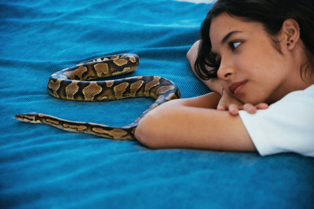 istock Do you sleep together? 1493449923