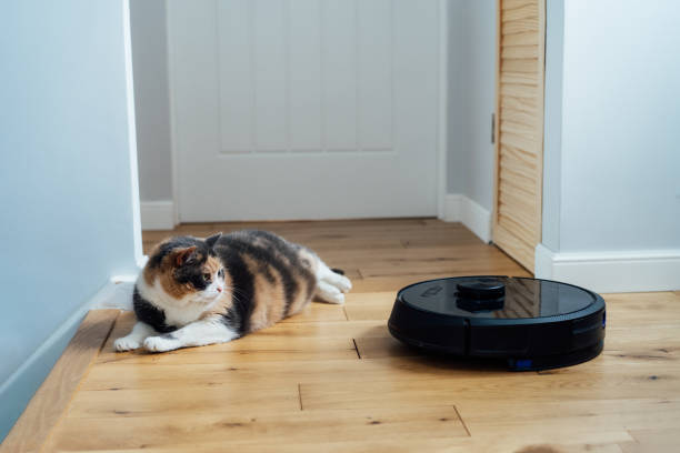 istock Tense, confused pet cat watching on a smart vacuum cleaner. A multicolor pet cat is lying on the wooden floor near the working robotic vacuum cleaner. Silent vacuum cleaner. Selective focus. 1493450771