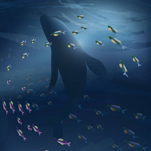 istock God created all kinds of fish on the fifth day. 1493455454