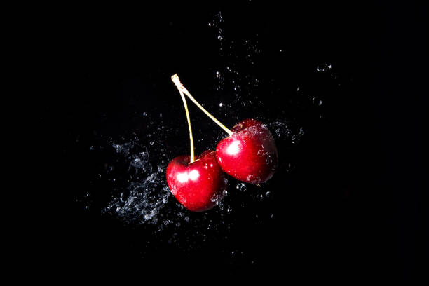 istock Refreshing red cherries, splashed with fresh water on a black background. Healthy red fruits rich in vitamins, perfect for a balanced diet 1493456603