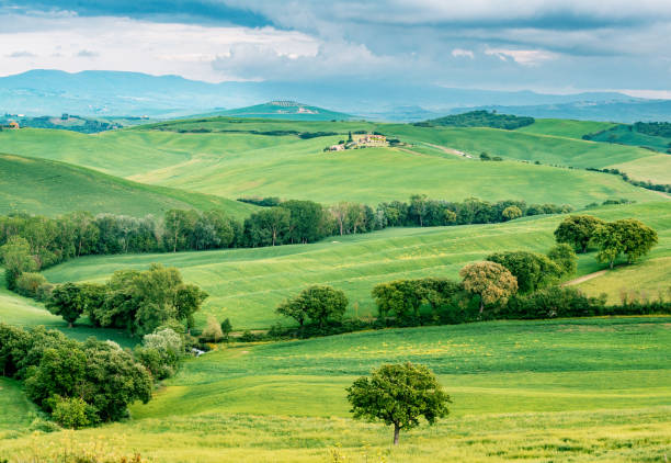 cabo terrestre primaveral de la toscana al amanecer, val d'orcia, italia - tuscan cypress fotografías e imágenes de stock