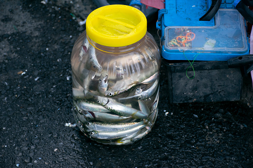 Empty water bottle with fishes and background scenery.