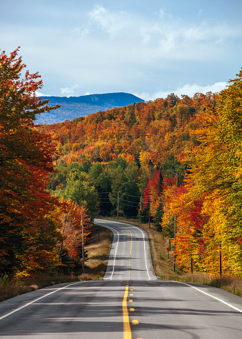 Colorful autumn landscape in northern Maine near Canadian border. USA