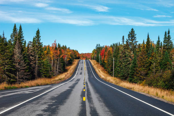 Colorful autumn landscape in northern Maine near Canadian border. USA
