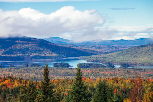 istock Autumn landscape in Maine 1493463653
