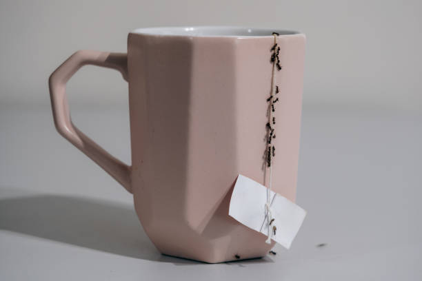 istock Ants on a cup in the house - coming in on a string 1493463919