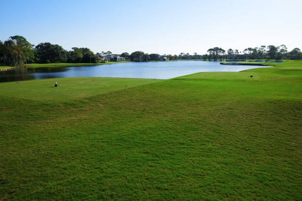 istock Grassy golf lane next to the pond. Florida, USA 1493469671
