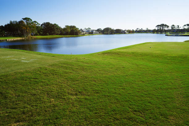 istock Grassy lane next to the pond. Florida, USA 1493469732