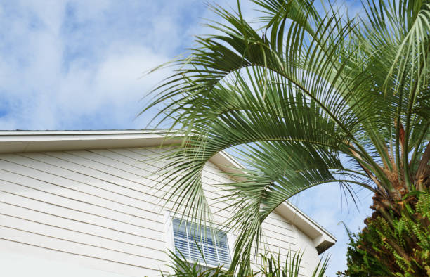 istock Residential building and palm tree at the backyard 1493471121
