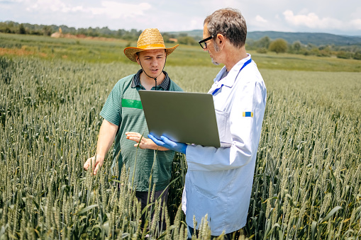 Farmer and agronomist checking for crop status in the spring