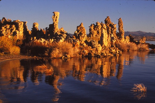 Tufas, large hoodoo-like limestone towers,  are reflected in Mono Lake in the early morning golden light.