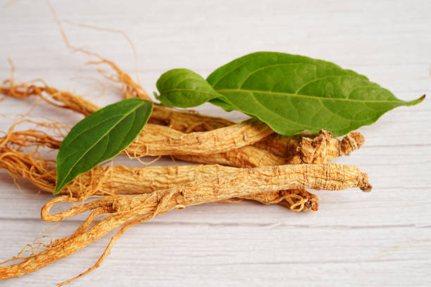 istock Ginseng roots and green leaf, healthy food. 1493478123