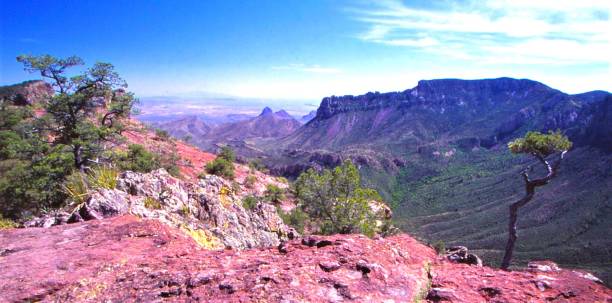 istock Juniper Canyon - Lost Mine Road -  Big Bend NP - TX 1493479665