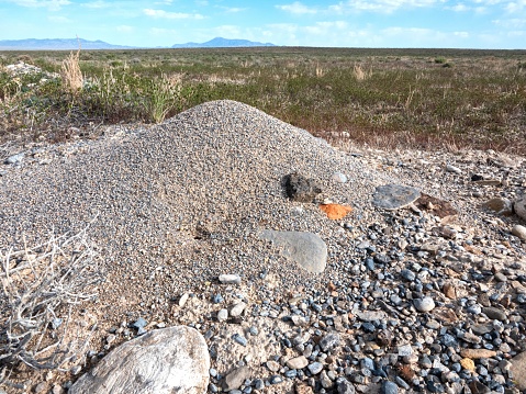 Large cone shaped harvester ant hill in the desert.
