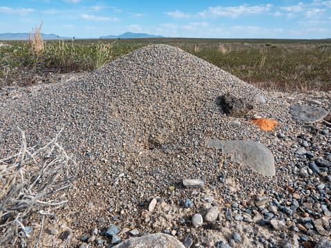 Large cone shaped harvester ant hill in the desert.