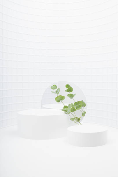 istock Summer abstract white scene with two cylinder podiums  template for presentation cosmetic products, goods, design, in curved alcove of mosaic tile, fresh gentle green eucalyptus twigs, round mirror. 1493482561