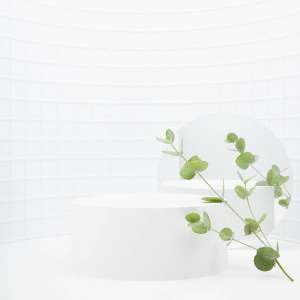 istock Spring abstract white stage, one round podium mockup for presentation cosmetic products, goods, design in curved alcove, tiny mosaic tile, fresh tender green eucalyptus branches, round mirror, square. 1493482563