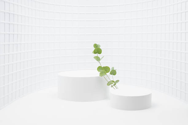 istock Spring abstract white stage with two round podiums mockup for presentation cosmetic products, goods, advertising in round niche with tiny mosaic tile, fresh tender green eucalyptus branches. 1493482578