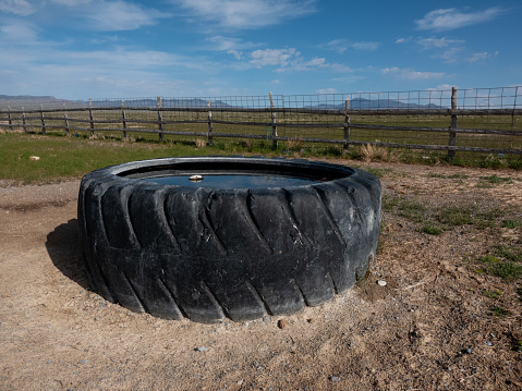 Large tire used as a desert watering trough for livestock in western Utah.