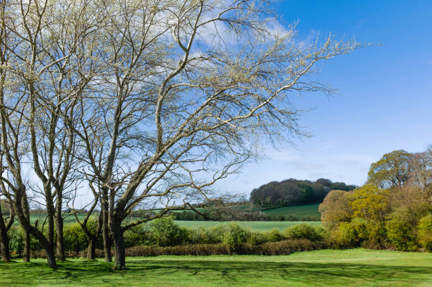 The Westwood public park and golf course overlooking farmland and fields falnked by trees sprouting leaves in spring under blue sky in Beverley, Yorkshire, UK.