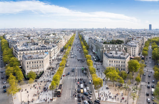 istock Panorama view from Triumphal Arch, Paris, France 1493492070