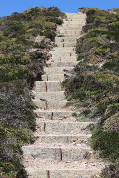 Stone steps on a countryside footpath in sunshine against blue sky