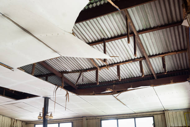 istock termite destroy the structure and ceiling of the abandoned home 1493507468