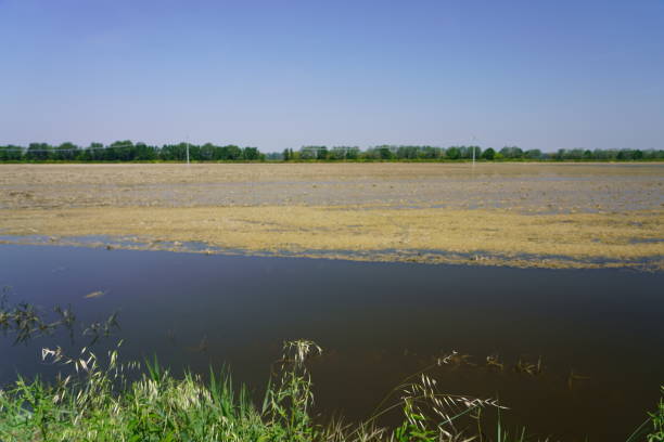 istock Flood in Conselice (Emilia Romagna) May 2023 1493511881
