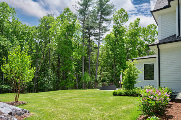 istock Back garden of suburban home 1493516108