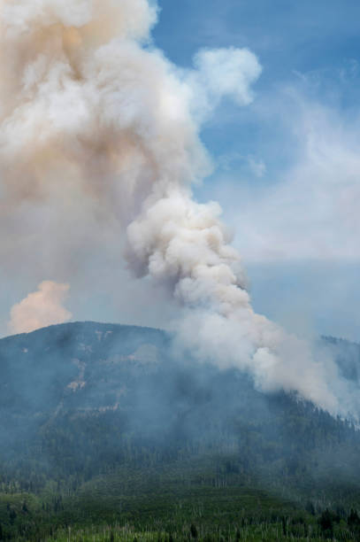 istock Forest Fire Smoke in Kootenay National Park 1493517716