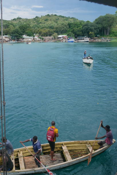 the net being pulled behind a shrimp boat with seagulls and pelicans following