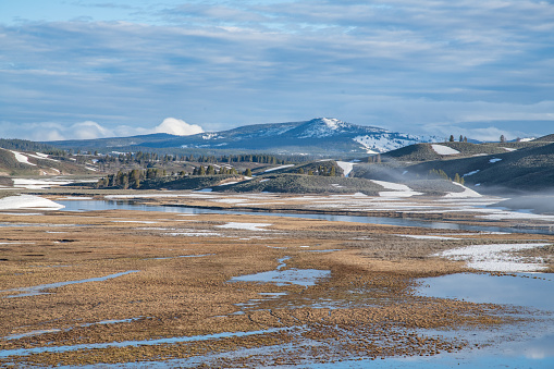 Springtime with morning fog in Hayden Valley across the Yellowstone River in the Ecosystem of Yellowstone in western USA and North America. Nearest cities are Gardiner, Cooke City, Bozeman, Billings, Montana, Jackson, Wyoming, Salt Lake City, Utah and Denver, Colorado.