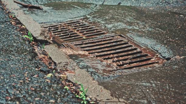 istock Rain Water Flowing Down Street Storm Sewer Drain Inlet 1493522791