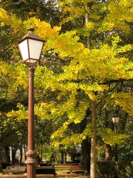 Vintage street light and autumn trees background. Lugo city public park, Galicia, Spain.