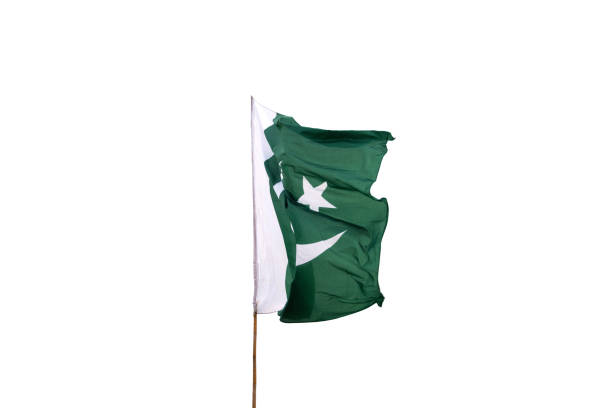 istock Pakistan's national flag flies in the sky. 1493524288