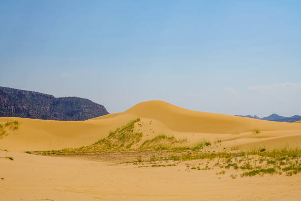istock The Coral Pink Sand Dunes State Park 1493525174