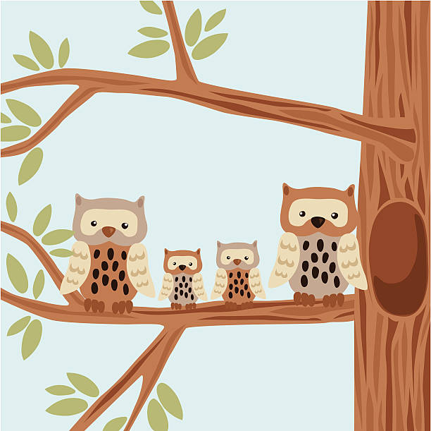 сова семья на дереве - owl young animal bird mother stock illustrations