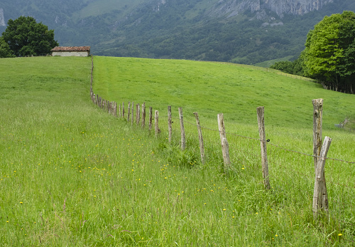 Meadows in the Araitz valley, Navarra, Spain