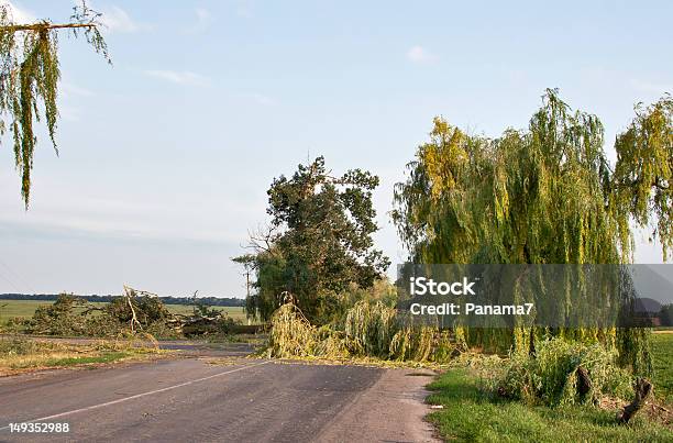 Effect Of Hurricane Stock Photo - Download Image Now - Broken, Country Road, Destruction