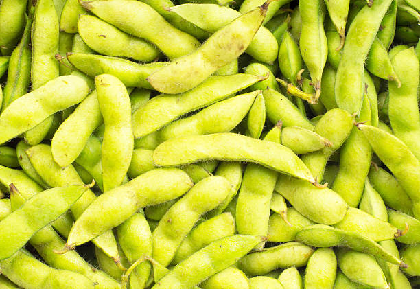 sojabohne pod - soybean bean edamame pod stock-fotos und bilder