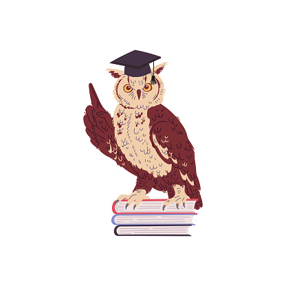 Wise owl sitting on pile of books flat vector illustration isolated on a white background. Owl as wisdom and education symbol, knowledge is power concept.