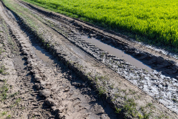 istock poor rural road without asphalt or other pavement 1493534875