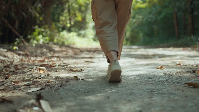 Low view - Close up of women feet in sneakers steps along path near forest, Legs of woman goes among trail at springtime, Female walks at wild at sunny day, Slow motion.