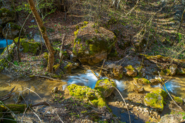beautiful mountain river in Apuseni mountains, Borzesti gorges
